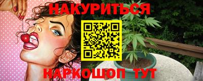 тгк Кингисепп