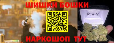 тгк Кингисепп