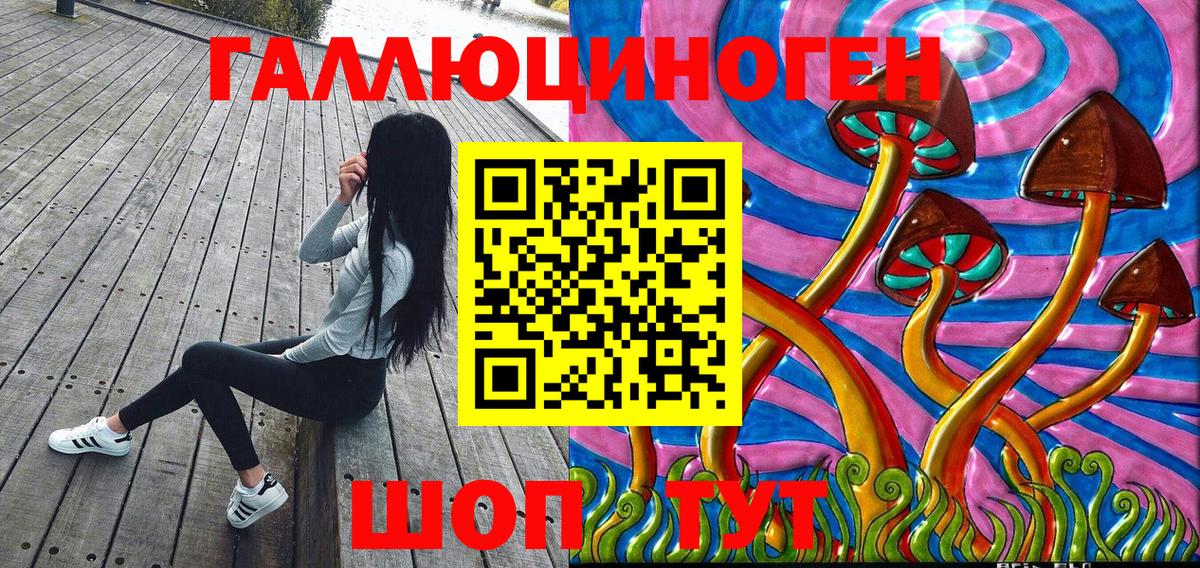 Галлюциногенные грибы Psilocybine cubensis Кирово-Чепецк